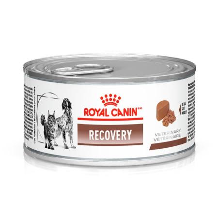 Recovery Royal 95 g